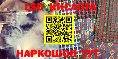 стаф Гай