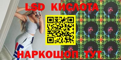 стаф Гай