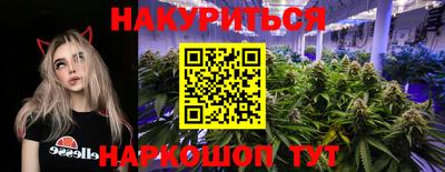 стаф Гай