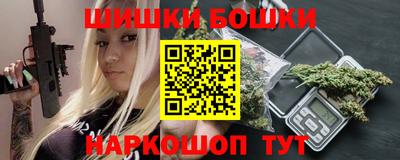 стаф Гай