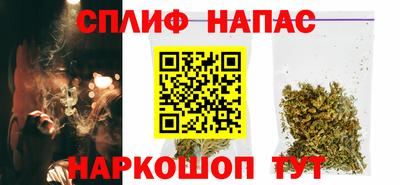 стаф Гай