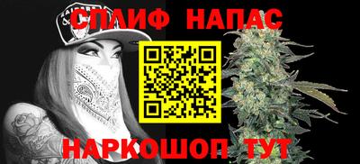 стаф Гай