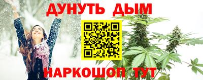 шишки Можайск