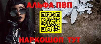 стаф Гай