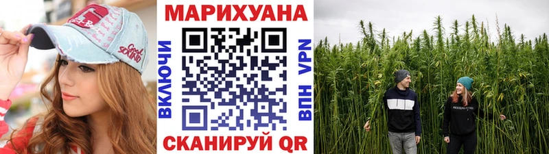 Каннабис сатива Лосино-Петровский